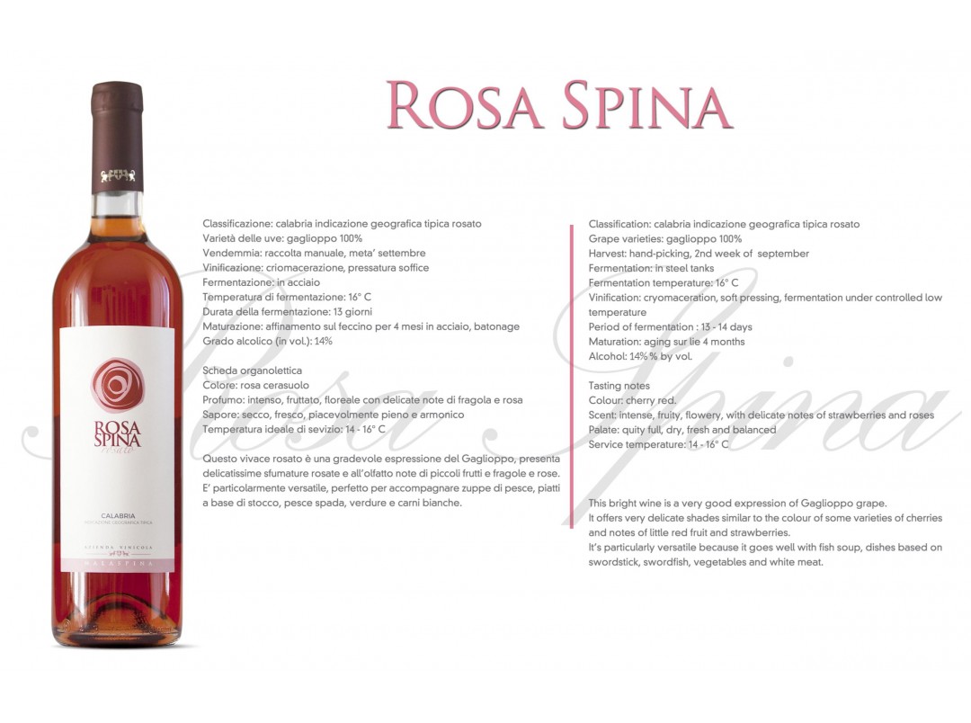 Vino Rosa Spina IGT Caclabria 75cl.
